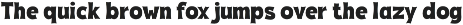 Fox Thunder : 4 Font Styles preview
