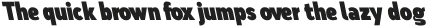 Nsai Pro Condensed Ultra Slanted otf (900) Sample