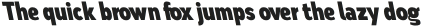 Nsai Pro Condensed Black Slanted otf (900) Sample