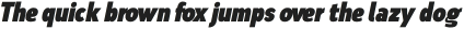 Nsai Pro Condensed Ultra Italic otf (900) Sample