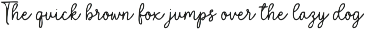 Palmer Cheerful | Script Font preview