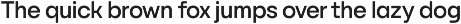 YNF Norman | 9 weights sans serif preview