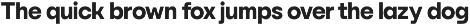 YNF Norman | 9 weights sans serif preview