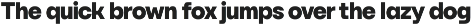YNF Norman | 9 weights sans serif preview