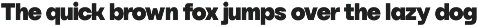 YNF Norman | 9 weights sans serif preview