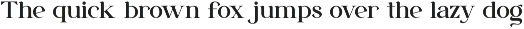 Nelara || Modern Classy Serif Font preview
