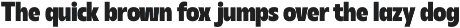 DT Synthax Sans preview