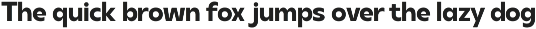 DT Synthax Sans preview