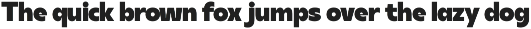 DT Synthax Sans preview