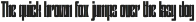 Bouchard Font preview