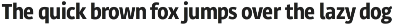 Site Negative Condensed preview