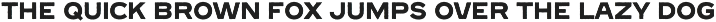 Free Lander - Font Duo + Extra font preview