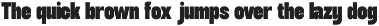 TT Unamo - Sans Display Condensed preview