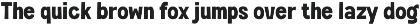 Fox Tigger : 4 Font Styles preview