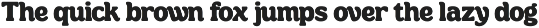 Jeikinsa – Retro Display Serif Font preview