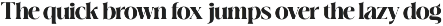 Arniya – Elegant Display Serif Font preview