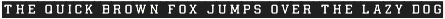 Field House - A Rustic Athletic Font preview