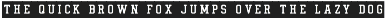 Field House - A Rustic Athletic Font preview