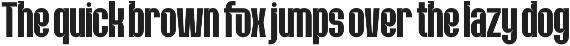 Flaction - Futuristic Sporty Font preview