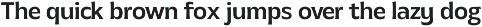 MTC Gilcho Flare - Variable Font preview