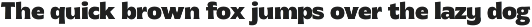 MTC Gilcho Flare - Variable Font preview