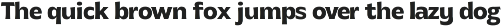 MTC Gilcho Flare - Variable Font preview