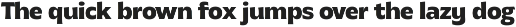 MTC Gilcho Flare - Variable Font preview