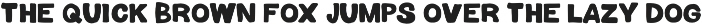 The Slow Morning / Bold Font Sript preview