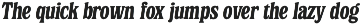 Fordough Haus - Variable Soft Serif preview