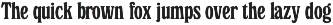 Fordough Haus - Variable Soft Serif preview