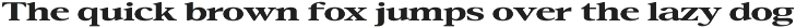 Confirm Serif (42 fonts) preview