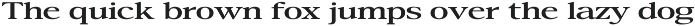 Confirm Serif (42 fonts) preview