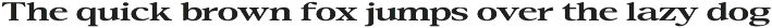 Confirm Serif (42 fonts) preview