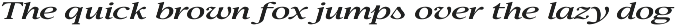 Confirm Serif (42 fonts) preview