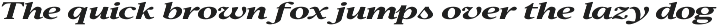 Confirm Serif (42 fonts) preview