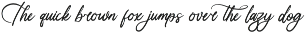 Uniquely Vifanite Bold Calligraphy preview
