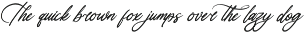 Uniquely Vifanite Bold Calligraphy preview