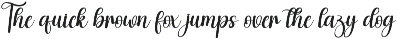 Bulky | Script Font preview