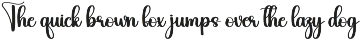 Starkey | Script Font preview