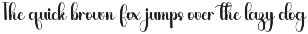 Starlight Minimalist preview