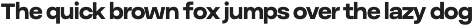 Volda Sans - Modern Sans Serif preview