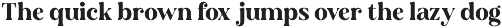 Ansilent - Modern Serif Font preview