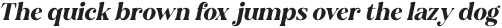 Ansilent Italic otf (400) Sample