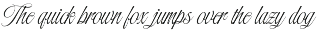 Wondshe Typeface preview