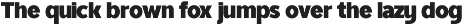 TRT Ontika Variable Sans Serif preview