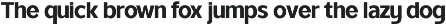 TRT Ontika Variable Sans Serif preview