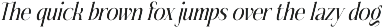 Fading Husker Modern Serif Font preview