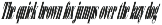 Shomina Font preview