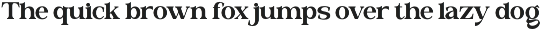 Valloria - Family Serif Font preview