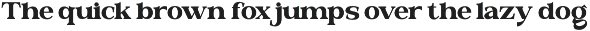 Valloria - Family Serif Font preview